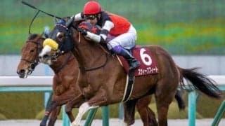 武豊騎手6度目の桜花賞制覇へ チューリップ賞覇者と20年ぶりV狙う