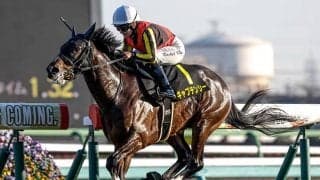 アドマイヤリードの仔がニュージーランドT参戦 ジュニアCに続く3連勝狙う