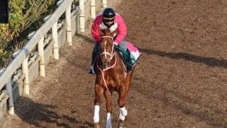 エピックラヴの2022(ラヴァブル)など、先週の入厩情報/栗東トレセンニュース