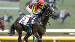 【桜花賞予想オッズ】アスコリピチェーノが予想1番人気