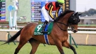 ステルヴィオの全妹が阪神牝馬S参戦 6回目の重賞挑戦で初タイトルなるか