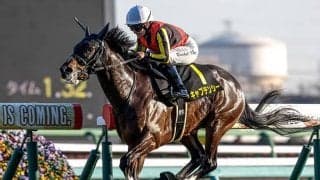 【ニュージーランドT予想オッズ】キャプテンシーが予想1番人気