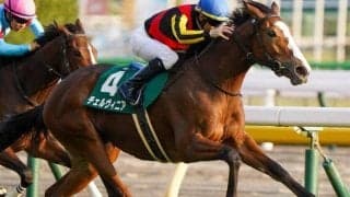 ソダシ＆リバティ超えの記録なるか 昨年のアルテミスS覇者が桜花賞参戦