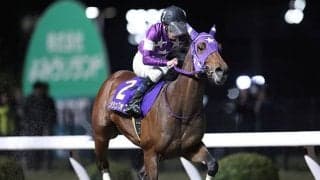 【川崎・クラウンC結果】1番人気のシシュフォスが押し切り重賞初制覇