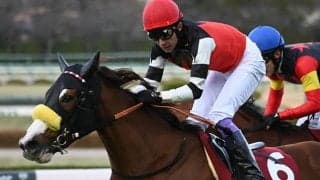 ブルーコンコルドも応援!? クラブ初のJRA・GI獲りにスウィープフィートが挑む