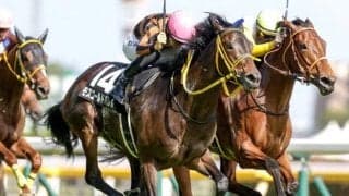 【阪神牝馬S展望】ヴィクトリアマイルの前哨戦、近年は凡走からの巻き返しが多い