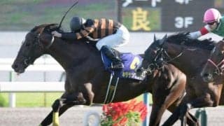 キタサンブラックも支払った“200万円” 全3回の「クラシック登録制度」って何？