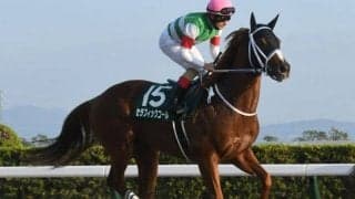 【川崎記念注目馬】レース史上初めてのナイター競馬 春開催となり帝王賞に向けても見逃せぬ一戦に