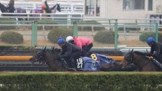 ジャスティンミラノ、皐月賞1週前追い切り速報/栗東トレセンニュース