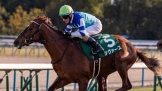 【アーリントンC想定】シヴァース、ディスペランツァなど15頭