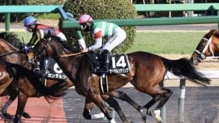 【兵庫女王盃】サーマルソアリングは7枠9番