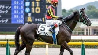 【桜花賞展望】牝馬クラシック第一弾、前走重賞好走組が中心も1番人気の勝利は多くない