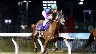 【川崎記念】松山「悔しい結果になりました」アイコンテーラーは惜しい3着