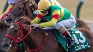 「エコロ」の冠名が重賞初制覇なるか ニュージーランドTにエコロブルームが出走