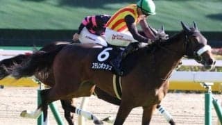 テン乗り名人の「マジックマン」 桜花賞でJRAクラシック初制覇へ阪神JF2着馬とタッグ