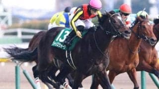 70年ぶり史上2人目の偉業なるか 中内田厩舎が桜花賞V2狙う