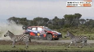 「キリンもいるのすげえｗ」世界最速のラリー車に動物超接近 伝統ラリーならではの珍光景に「マジのサファリやん」ファン驚愕