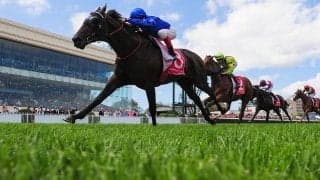 【桜花賞】「関西馬30勝、関東馬8勝」の歴史　現3歳牝馬で1歩リードのアスコリピチェーノに暗雲も……