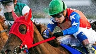 「南関の女王」が芝初挑戦 阪神牝馬Sで地方馬8年ぶりJRA重賞V狙う