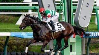 【兵庫女王盃注目馬】大井から園田に移設＆リニューアル 記念すべき第1回覇者に輝くヒロインは 