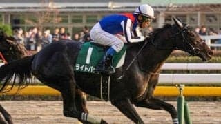 悲願のJRA・GI初制覇へ レイクヴィラファームが桜花賞にライトバック送り出す