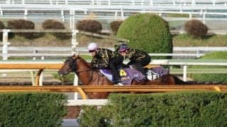 ダノンデサイル、皐月賞1週前追い切り速報/栗東トレセンニュース