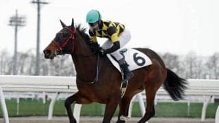 新種牡馬ブルドッグボスの産駒が一番時計 ホッカイドウ競馬で今年4回目の競走能力・発走調教検査