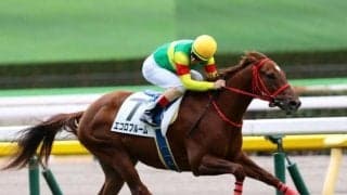 【ニュージーランドT出走馬・騎手確定】キャプテンシー＆M.デムーロ騎手、エコロブルーム＆横山武史騎手など16頭