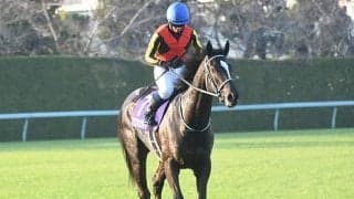 【桜花賞・調教後馬体重】アスコリピチェーノは482kg、クイーンズウォークは514kg