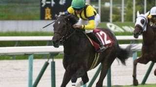【阪神牝馬S出走馬・騎手確定】マスクトディーヴァ＆J.モレイラ騎手、ドゥアイズ＆B.ムルザバエフ騎手など11頭