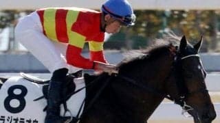 フォーエバーヤングに「唯一人気で勝った馬」ベラジオラオウが待望の初勝利なるか