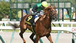 “幻の芝GI馬”が約2年ぶりの復帰 ダートで復活の白星を挙げるか