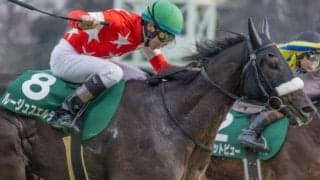 目指せ全世代JRA重賞制覇 ハーツクライのラストクロップがニュージーランドTで偉業達成へ