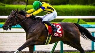 「マジックマン」節目のJRA重賞10勝目へ 阪神牝馬Sに“レコードホルダー”と挑む