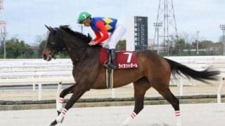 【兵庫女王盃】ライオットガールが重賞3勝目…人気のサーマルソアリングは3着