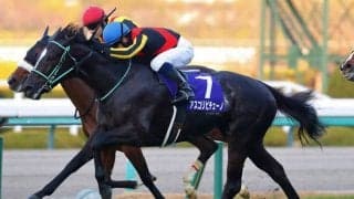 【桜花賞】出走馬の調教後の馬体重
