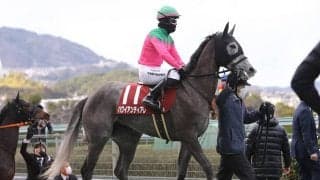 桜花賞を血統で分析　過去４年の牝馬三冠レースで11勝のキングカメハメハの血、今年の注目馬は？