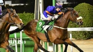 【天皇賞(春)】予備登録していたイギリスのエネミーは来日せず 今年も外国馬の出走はなし