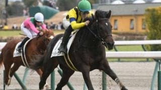 【阪神牝馬S枠順確定】マスクトディーヴァは1枠1番、ドゥアイズは6枠7番