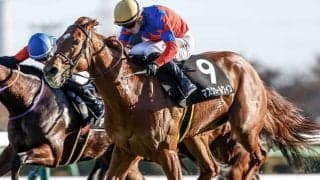 波乱続く3歳重賞に共通する激走馬の傾向とは？ 桜花賞で高配当の主役になる馬を発見！