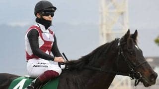 ルガルが左橈側手根骨などを骨折 6カ月以上の休養要する見込み