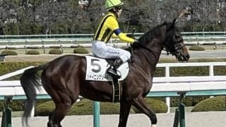 母も全姉も超名牝シャイニングソード 川田騎手で初勝利なるか