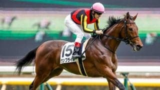 【阪神牝馬S予想】関西馬が圧倒的な強さを見せる一戦！ 関東馬に求められる好走条件とは