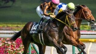 阪神牝馬Sは逃げ馬不在 モズゴールドバレルがハナなら面白い