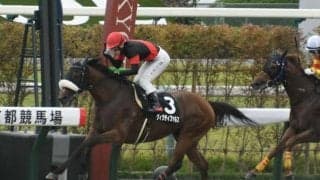 【アンタレスS想定馬・騎手】ヴィクティファルス、ダイシンピスケスなど19頭