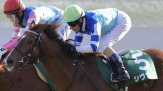 【アーリントンC想定馬・騎手】シヴァース、ディスペランツァなど19頭