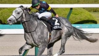 伯父に名種牡馬バゴ・叔父に仏G1馬 良血ゴールドシップ産駒が土曜阪神10Rで復帰