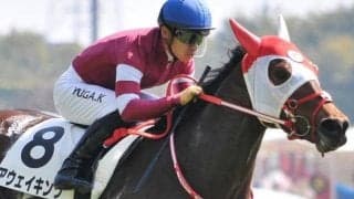 近親に凱旋門賞馬ヴァルトガイスト ウマ娘・藤田晋オーナーのアウェイキングが連勝なるか