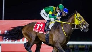 ウシュバテソーロらドバイ遠征馬22頭が帰国