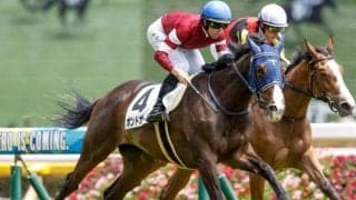 【今日の注目ポイント】中山でニュージーランドTと阪神で阪神牝馬S